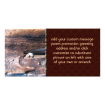 Rocks In Logs Photo Cards