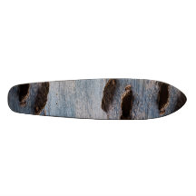 Rocks in sea skateboard