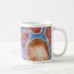 Rocks in the Water Mug