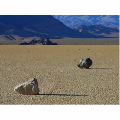 Rocks On Ground Photo Sculpture by lifesphere