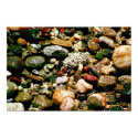 Rocks on Streambed posters by dma847 Rocks on Streambed posters