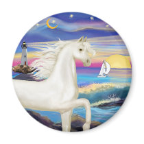 Rocks-Sea-White Arabian Horse magnets by heartsonggallery Rocks-Sea-White Arabian Horse magnets