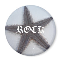 Rockstar magnets