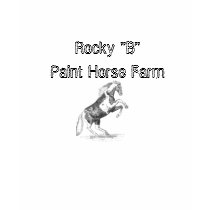 Rocky "B" Paint Horse Farm t-shirts