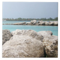 Rocky Bahama Beach Tile