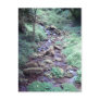 Rocky Brook Post Cards