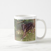 Rocky mugs