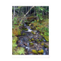 Rocky Creek 1 posters