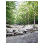 Rocky Creek Custom Flyer