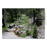 rocky creek path
