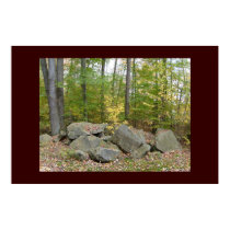 Rocky Fall Poster posters