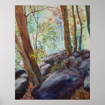 Rocky Gorge Poster