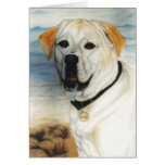 "Rocky" Greeting Card