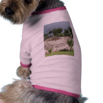 Rocky Hill Side pet clothing