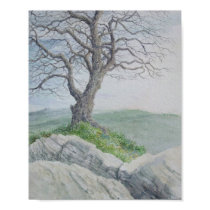 Rocky Knob posters