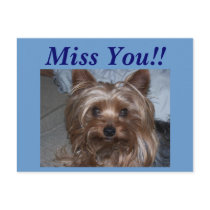 Rocky "Miss You!!" postcards by sharpcreations Rocky "Miss You!!" postcards