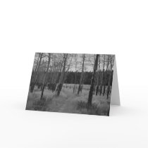 Rocky Mountain Aspen, Note card by Mark Easton by mark4art Rocky Mountain Aspen, Note card by Mark Easton