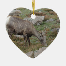 Rocky Mountain Big Horn Sheep Ewe Christmas Tree Ornaments