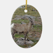 Rocky Mountain Big Horn Sheep Ewe Christmas Tree Ornament