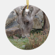 Rocky Mountain Big Horn Sheep Ewe Christmas Ornament