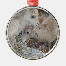 Rocky Mountain Big Horn Sheep Lamb Christmas Tree Ornament