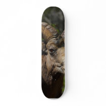 Rocky Mountain Bighorn Sheep Skate Board Deck