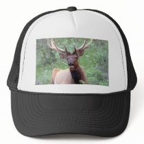 Rocky Mountain Elk hats