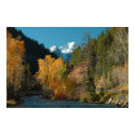ROCKY MOUNTAIN FALL PHOTO posters by GINABARE ROCKY MOUNTAIN FALL PHOTO posters