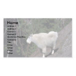 Rocky Mountain Goat-alert billy on mountainside Business Card Templates