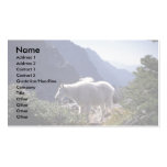 Rocky mountain goat business card
