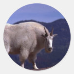 Rocky Mountain Goat-large alert billy Sticker