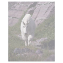 Rocky mountain goat customized letterhead