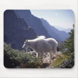Rocky mountain goat mousepads