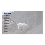 Rocky mountain goat (Pair on mountainside) Business Cards