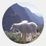 Rocky mountain goat sticker