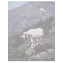 Rocky mountain goats (Nanny and kid) Letterhead
