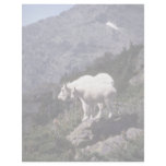 Rocky mountain goats (Nanny and kid) Letterhead