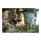 postcard - 