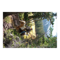 Rocky Mountain Horse Ride posters by lewis2979 Rocky Mountain Horse Ride posters