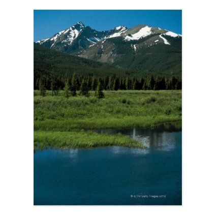 Rocky Mountain National Park , Colorado Post Cards