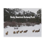 Rocky Mountain National Park Postcard