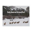 Rocky Mountain National Park Postcard