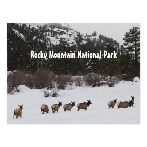 Rocky Mountain National Park Postcard | Zazzle
