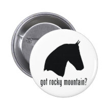 Rocky Mountain Pin