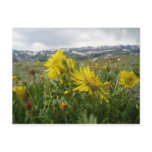 Rocky Mountain Summer Postcards