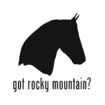 rocky mountain, horse, stallion, mare, farm,