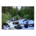 Rocky Mountain Waterfall Through the Pines cards by ctg_foto Rocky Mountain Waterfall Through the Pines cards