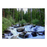 Rocky Mountain Waterfall Through the Pines cards