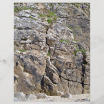 Rocky Mountain with Grass Texture Custom Flyer