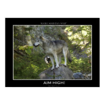 ROCKY MOUNTAIN WOLVES Poster posters